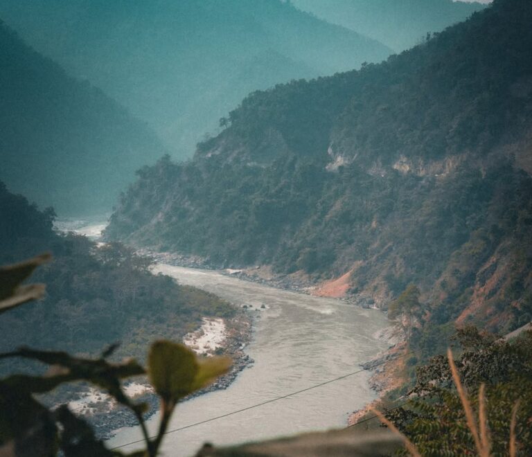 Rishikesh